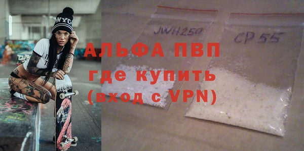 прущие грибы Приозерск