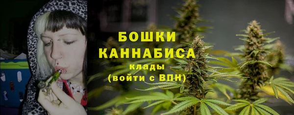 стаф Протвино