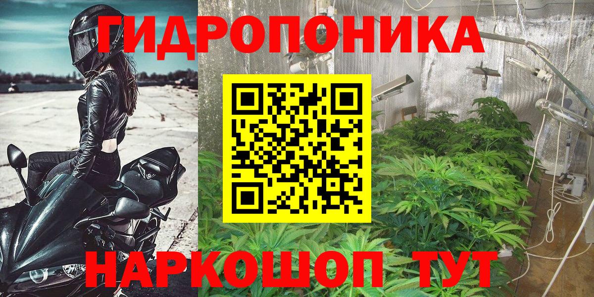 Стрежевой  Бошки Шишки марихуана  Вход с VPN  Конопля Bruce Banner  Каннабис сатива 